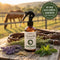 LederKur Citronella Pferdespray — Insektenschutz für Pferde & Ponys