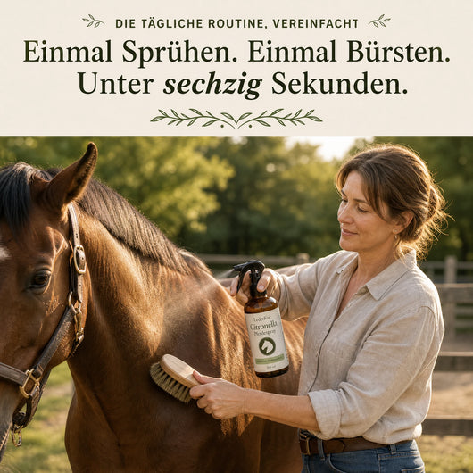 LederKur Citronella Pferdespray Anwendung